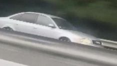 Издириха и глобиха шофьора, карал в насрещното по АМ "Хемус"