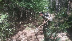 Продължава да тлее горският пожар край Хисаря