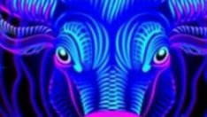 Хороскоп за 20 май 2024 - Телец