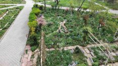 С конкурс: Търсят най-красивата междублокова градинка във Варна