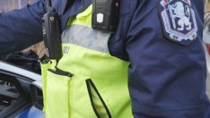 Разбиха престъпна група за имотни измами