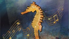 Започна 16-ото издание на Националния конкурс „Морско конче“ във Варна