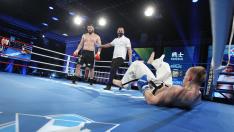 Три български титли, тежки нокаути и много адреналин на SENSHI 7