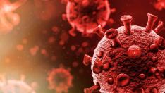 Близки на починалата учителка настояват: "AstraZeneca" причини смъртта й!