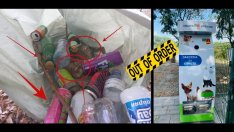 Вандали счупиха уникалния кучемат в Белослав