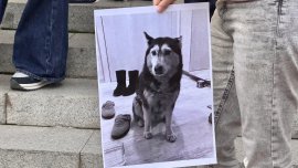 Варненци протестираха срещу насилието на животни 