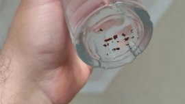 Мръсна вода тече от чешмите във Варна