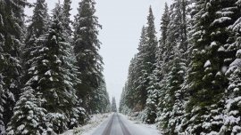 Ето кога ще дойде снегът в България 