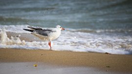 Какво ще е времето през следващата седмица? 