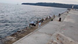 38 млн. евро от бюджета на Програмата за рибарство са договорени