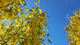 През следващото денонощие ще е предимно ясно и слънчево