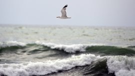 Времето днес във Варна: Много облаци и периодични превалявания