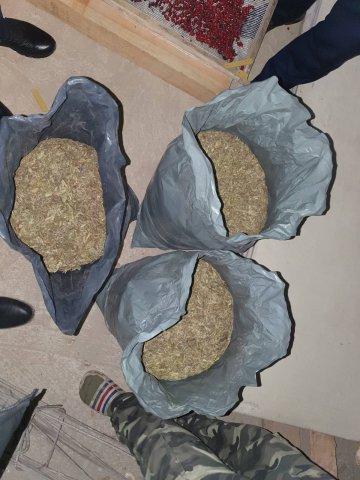 Задържаха двама с 11 кг марихуана