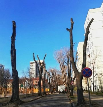 Не паркирайте на ул. "Кестен" във Варна