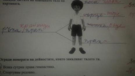  Кой и как оценява нашите деца?