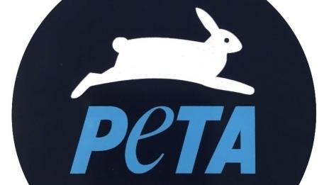 ПЕТА иска от морските пехотинци да не ядат паяци и да не пият змийска кръв