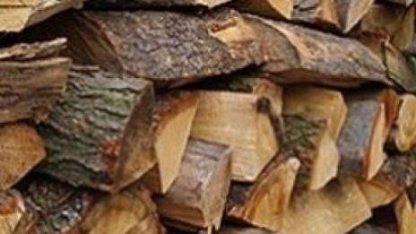 Съставиха 15 акта при акция срещу търговията с незаконна дървесина край Варна
