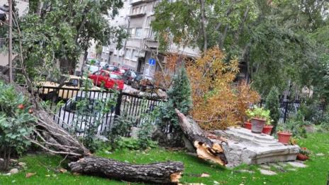 Обявиха жълт код в 20 области заради силен вятър