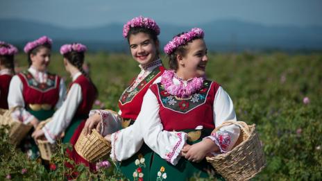 Ще се следи за производството и износа само на качествено розово масло