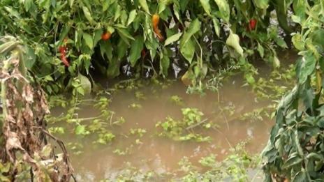 Воден ад в Красново и Кръстевич