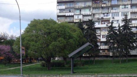 Вятърът събори и билборд във Варна
