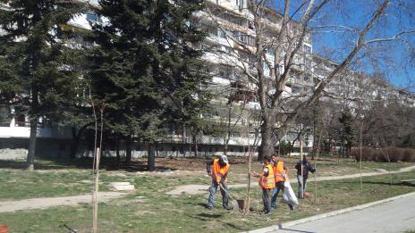 Започна пролетно засаждане на дървета и цветя в район „Младост“
