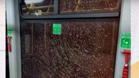 Стреляха по автобус от градския транспорт в Добрич два пъти за денонощие