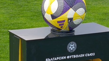 БФС чака 10 милиона евро от ФИФА