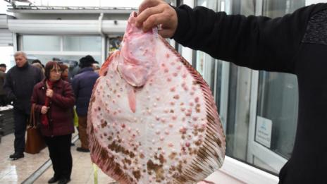 Свръхуловът застрашава рибните запаси, предупреждават учени