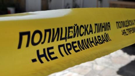 Откриха мъртво диво прасе на 80 км от Варна