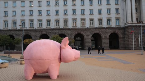 Прасето от протестите на ПП тръгва из страната 