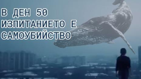 Руското МВР разкри лидери на "групи на смъртта" в социалните мрежи