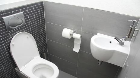 В XXI век: 1/3 от хората по света нямат тоалетни