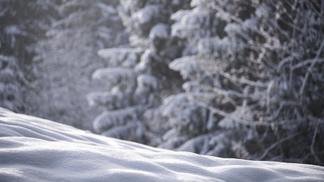 Зимата, каквато я познаваме, изчезва: До края на XXI век Централна и Южна Европа може да останат почти без сняг