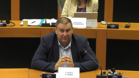 Емил Радев призова за по-добра защита на интересите на децата