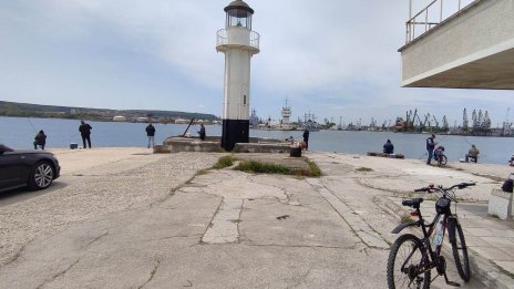 Черно море край Варна "завря" от сафрид още от началото на май