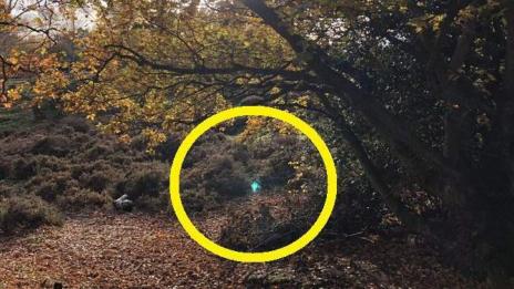 Как би изглеждал порталът към друго измерение край Варна (СНИМКИ)