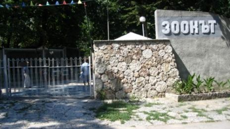 120 000 души са посетили Варненския зоопарк в пандемията