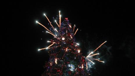 Арестуваха петима души, опитали да сложат елха в центъра на Гърмен