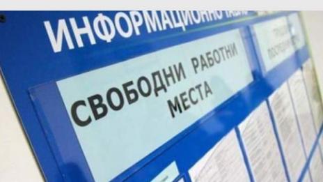 Една трета от обявите в бюрата по труда - за работа на минимална заплата