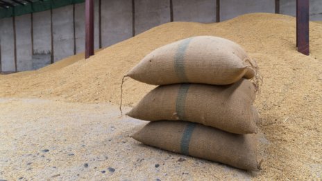 "Ал Арабия": Египет е купил 50 000 т зърно от България