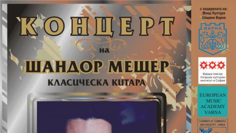 Филм за расистки убийства срещу роми в Унгария излъчват във Варна