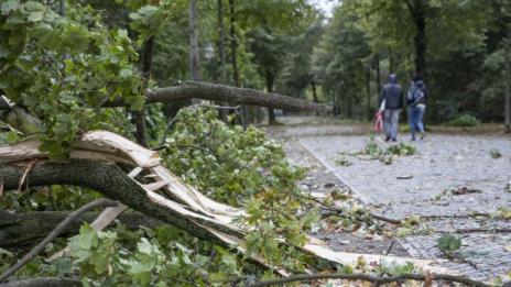 Ураганен вятър взе жертви в Полша