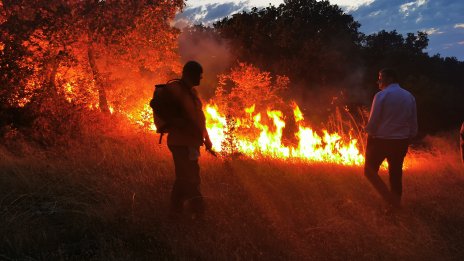108 дка. са изгорели от началото на годината във Варненско