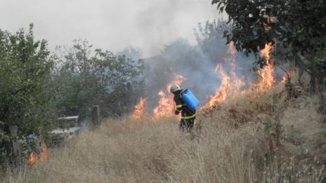 Голям пожар бушува в Свиленградско