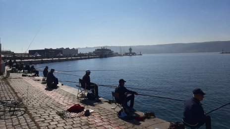 Влезе в сила забраната за улов на калкан и попчета в Черно море