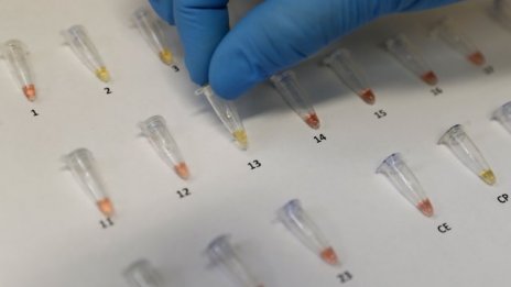 На мутация време сме от нова смъртоносна пандемия. Комарът жили със "Зика"