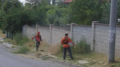 &quot;Щрихи от утрото&quot; (5.07.2016) - Светкавична реакция на кметство „Приморски“ след репортаж на ТВ „Черно море“