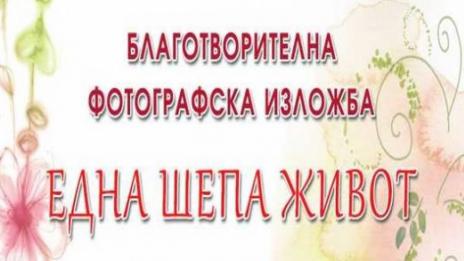 Подредиха благотворителна изложба „Една шепа живот“