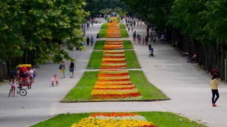 Статистиката: Големите домакинства в област Варна намаляват за сметка на малките